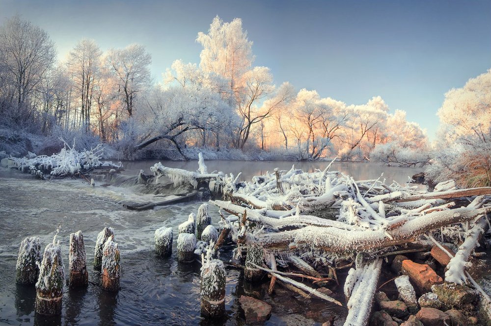 Photograph by Людмила Сиденко