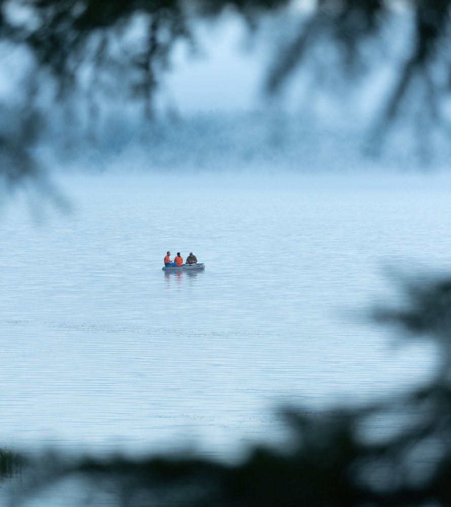 Photograph by Александр Кононов