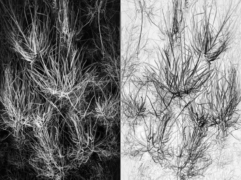 The inverted world III