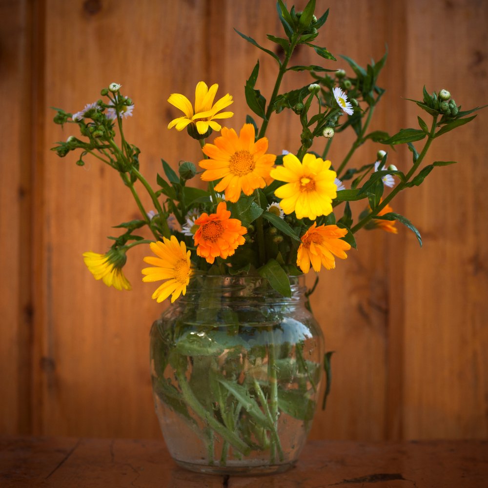 Photograph by Антон Наталин