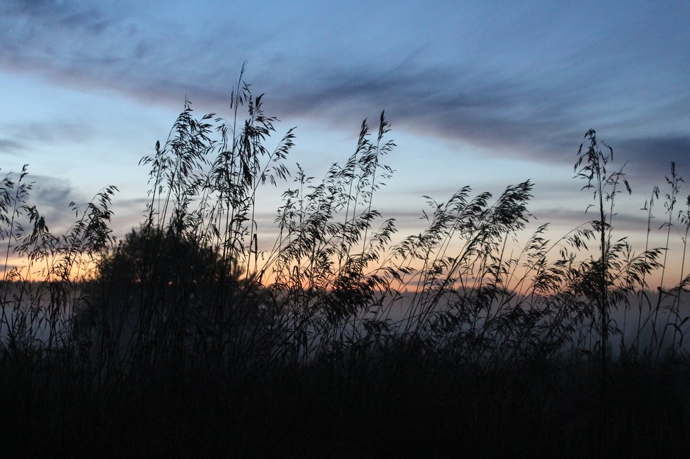 Photograph by Татьяна Фоевцева