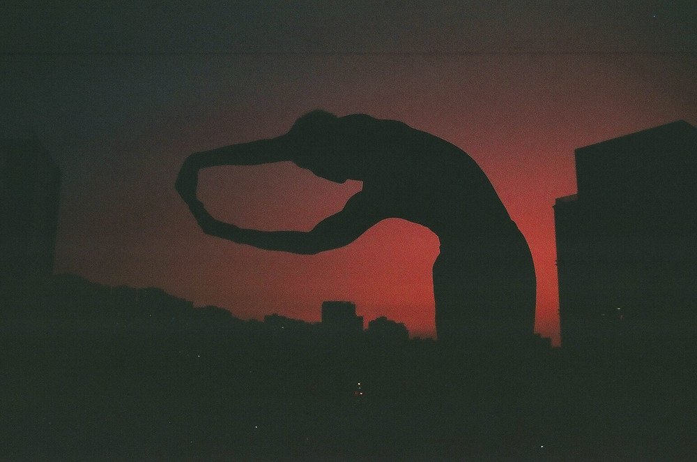 Photograph by Yuri Matoszko