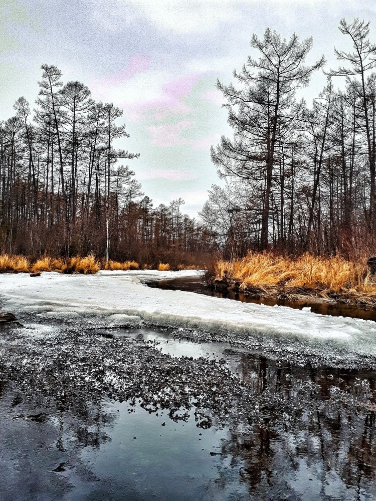 Photograph by Пётр Селетков