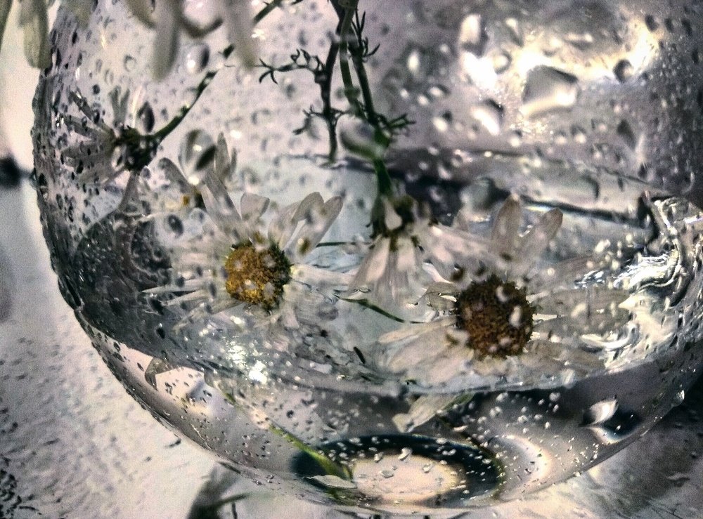 Photograph by Марина Хохрякова