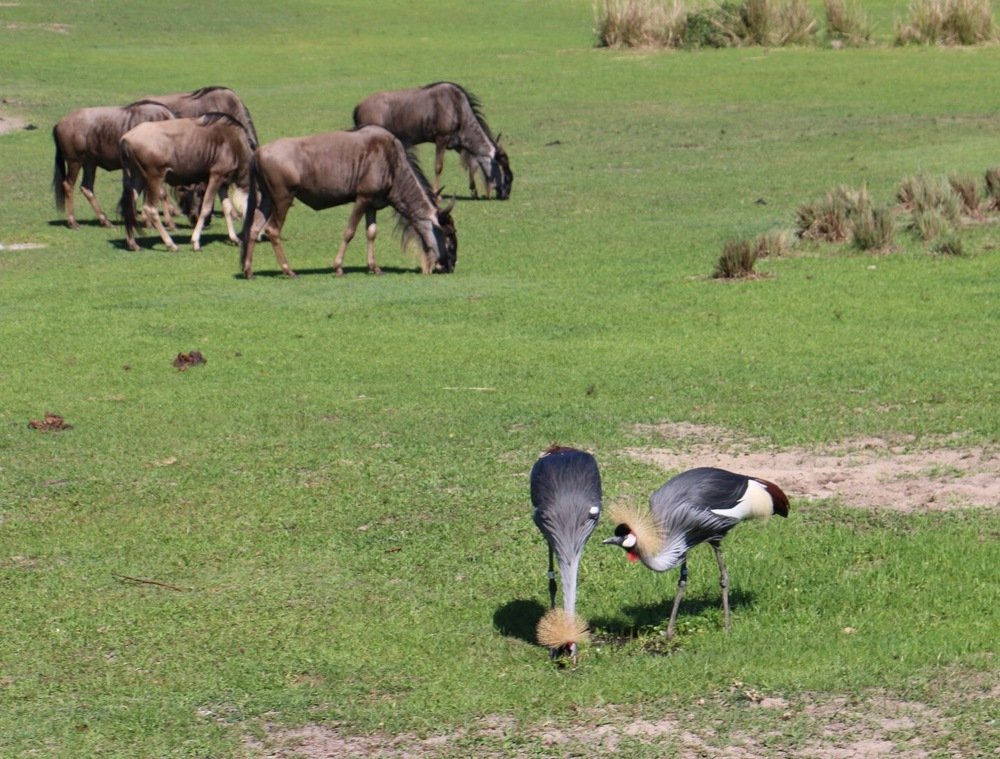 Photograph by Маргарита Венсил.
