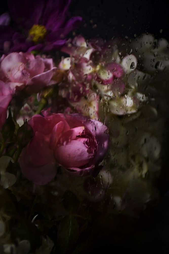 Photograph by Ija Reiman