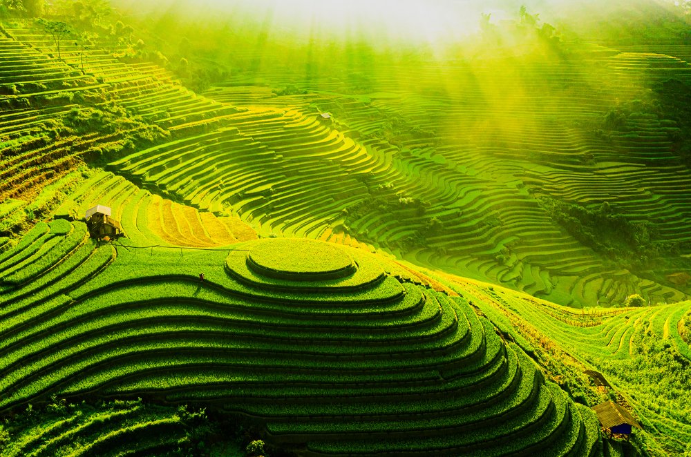 Фотография автора quach nam