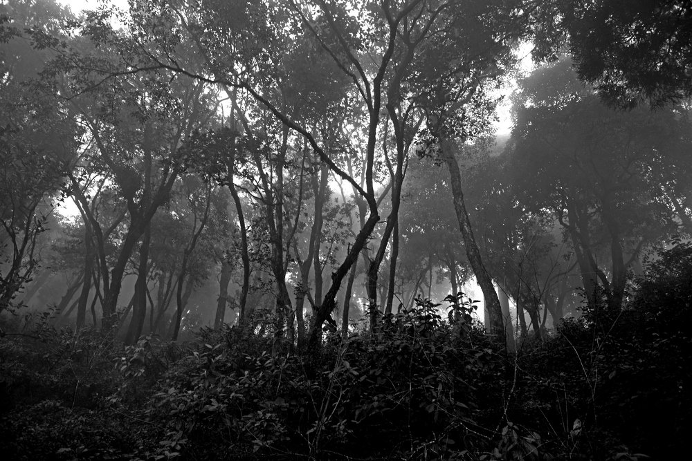 Photograph by PRASHANT VAIDYA