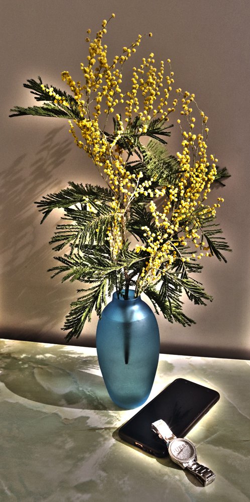 Натюрморт деловой женщины