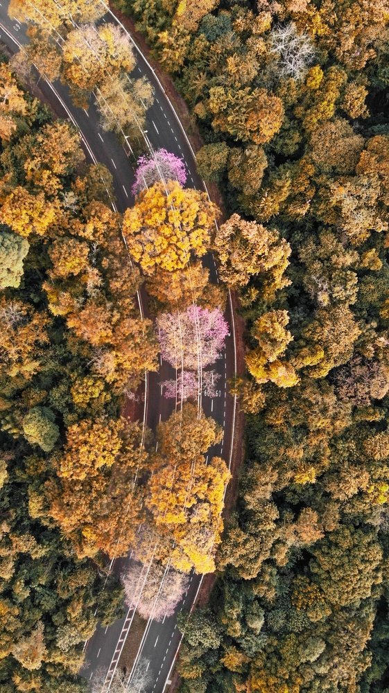 Photograph by Cléber Vinicius Demori