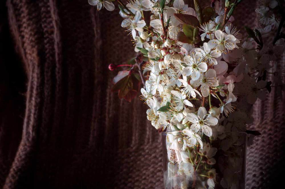 Photograph by Виталий Мытник