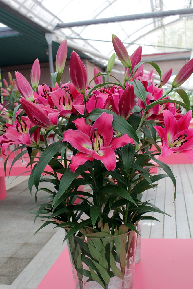 Photograph by PRASHANT VAIDYA