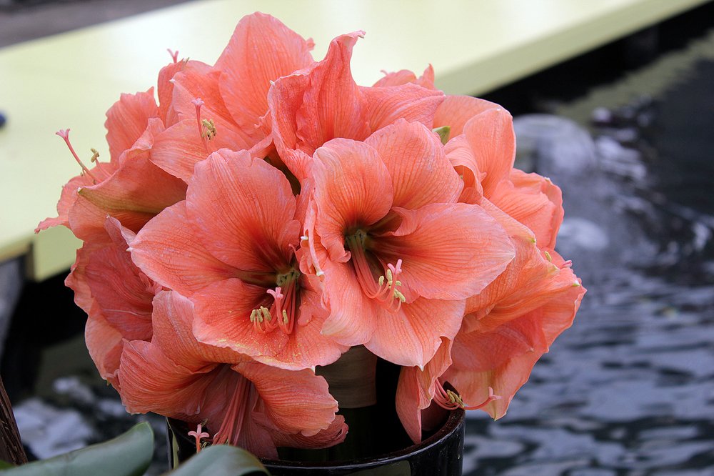 Photograph by PRASHANT VAIDYA