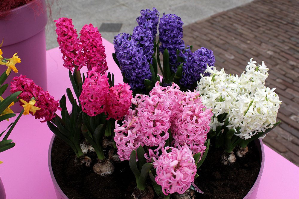 Photograph by PRASHANT VAIDYA