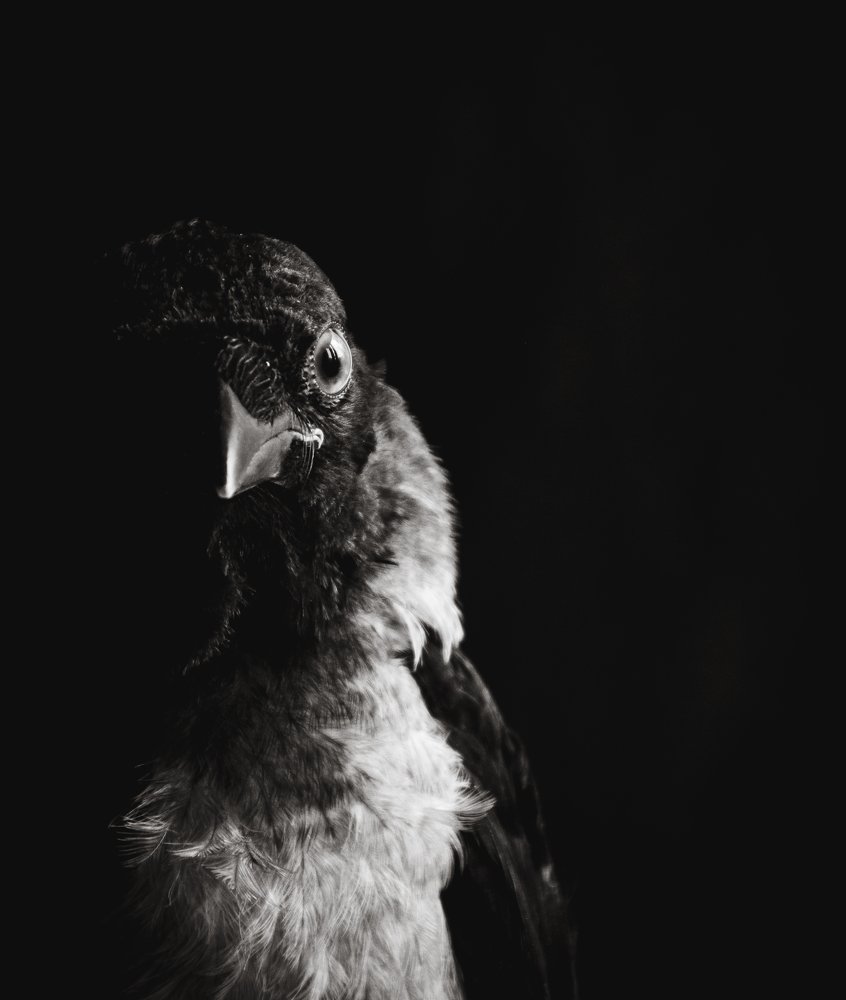 Photograph by Кристина Сотникова