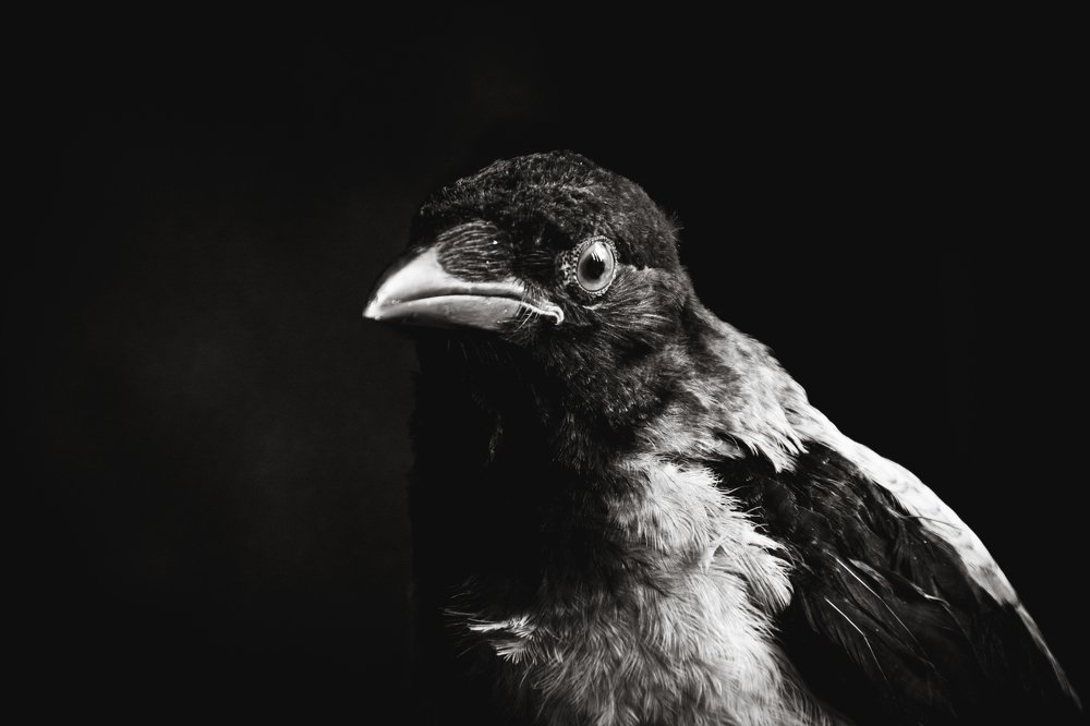 Photograph by Кристина Сотникова