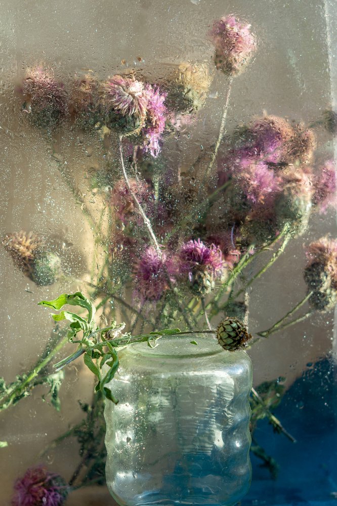 Photograph by Ольга Беспалько