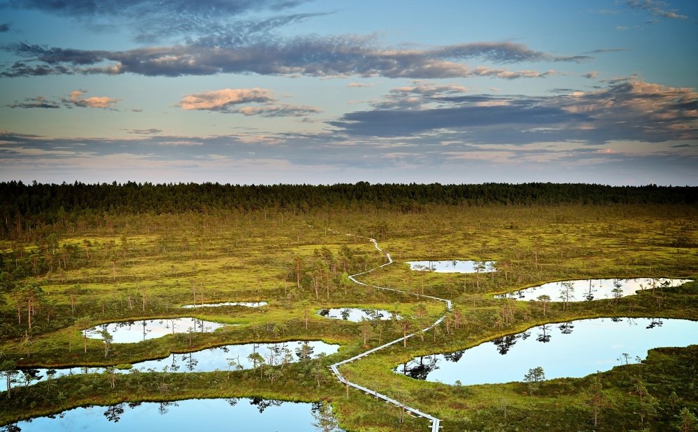 Photograph by Ija Reiman