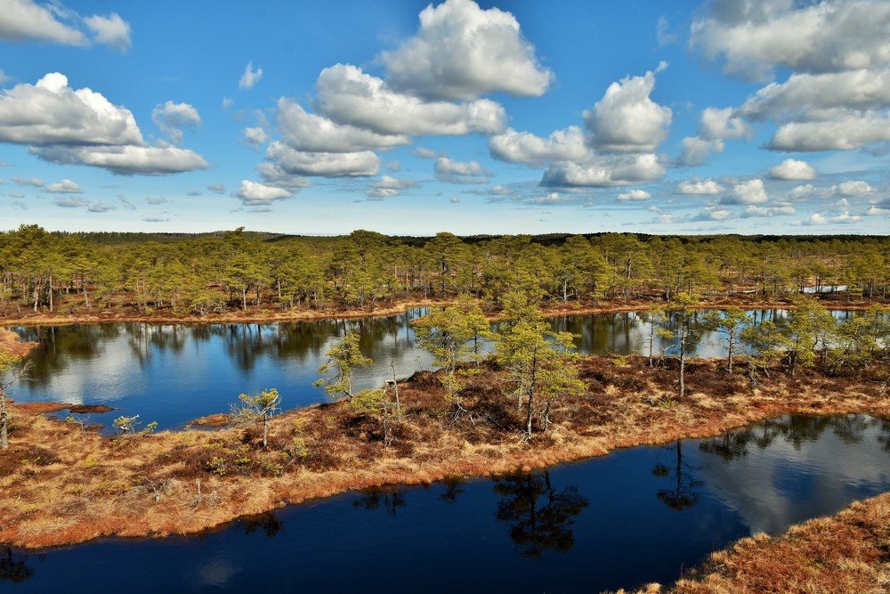 Photograph by Ija Reiman