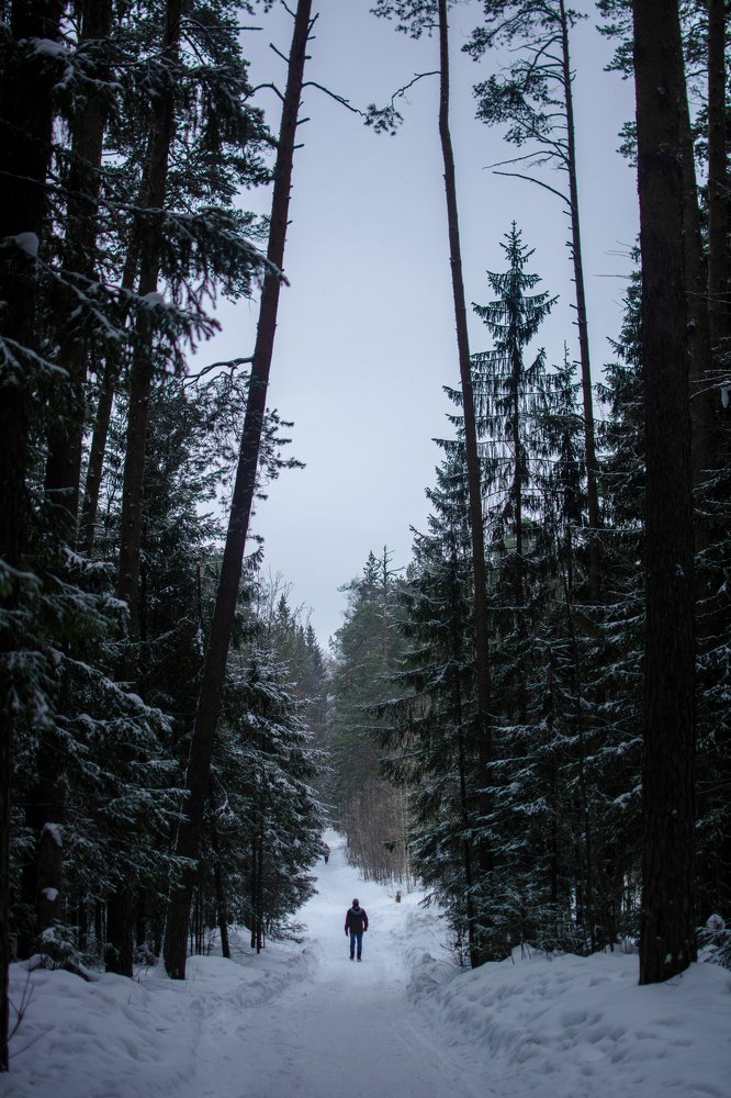 Photograph by Екатерина Лысцова