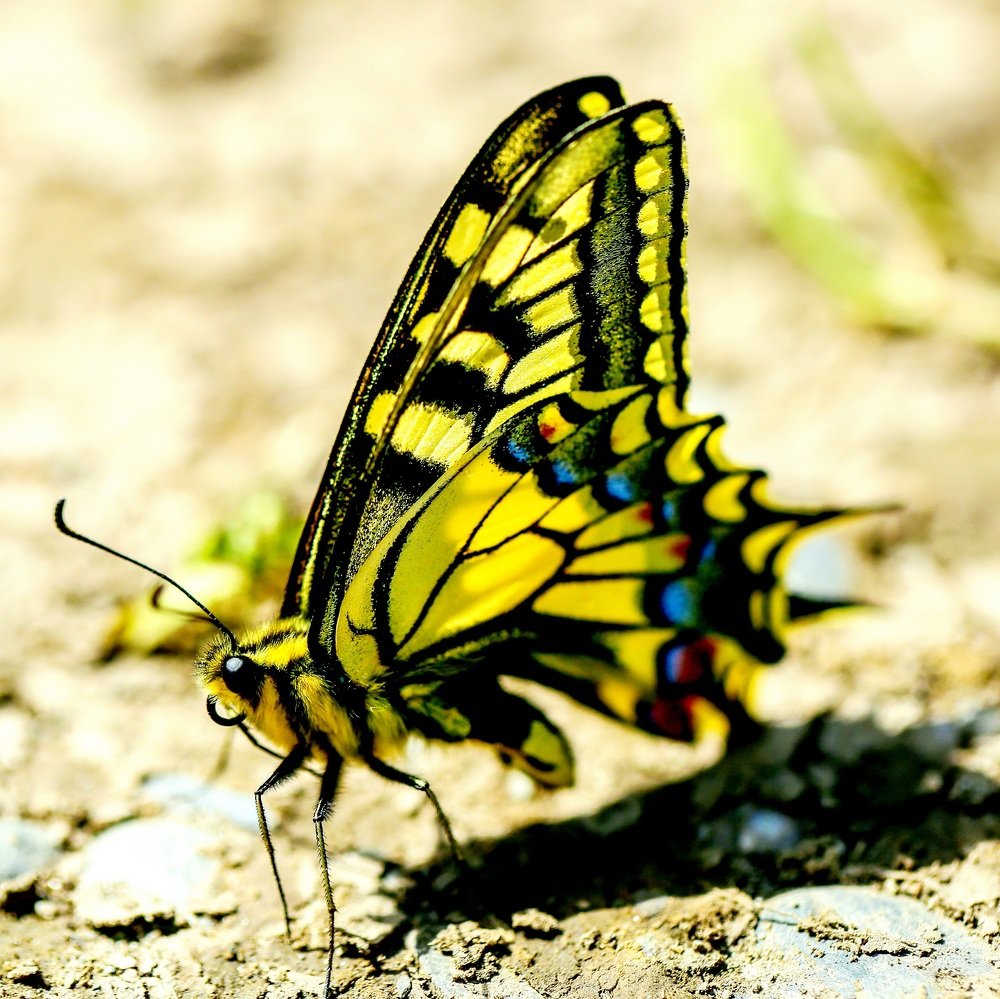 Photograph by Сергей Логвин