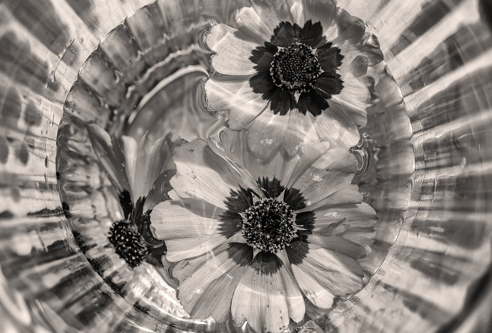 Photograph by Ángel Ros