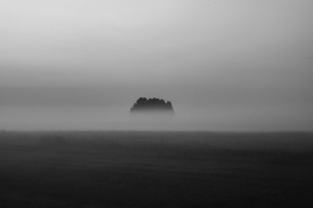 Photograph by Дарья Кузьминых