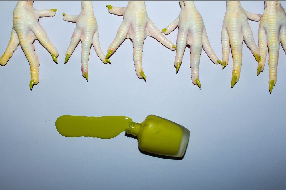 Photograph by Лада Соловъёва