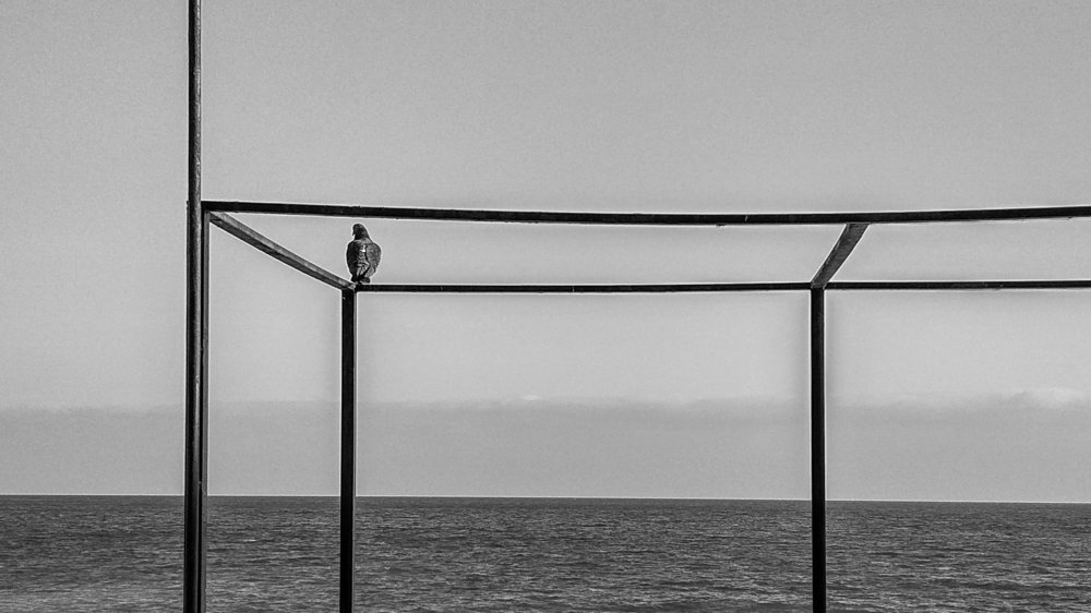 Photograph by Артём