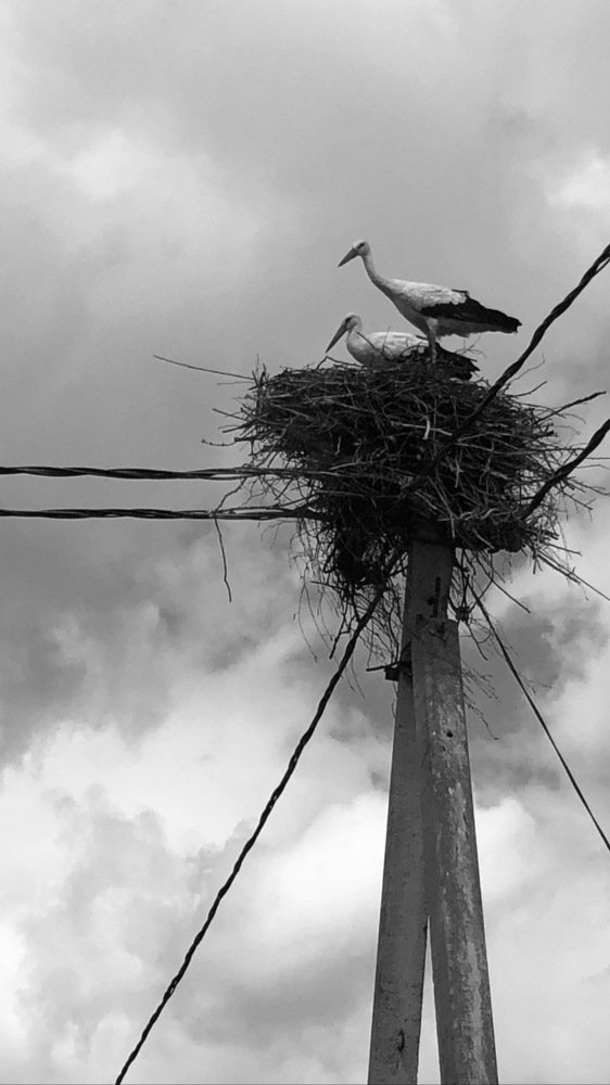 Фотография автора Наталья Васько -Черданцева