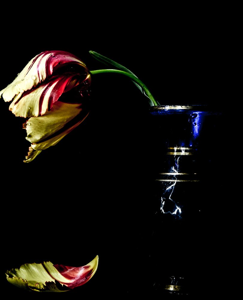 Photograph by Светлана Антонова