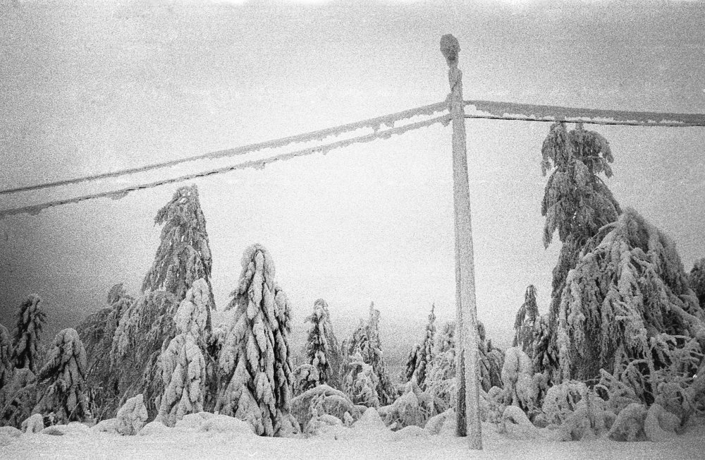 Фотография автора Юлия Образцова
