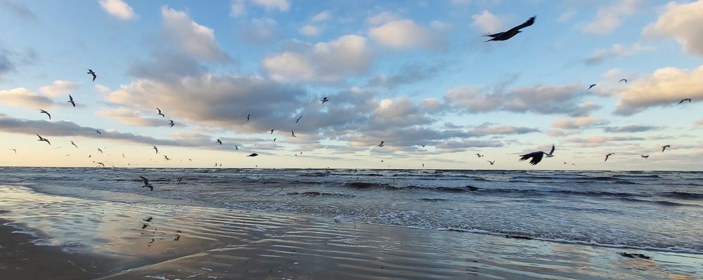 Юрмала, зима 2020