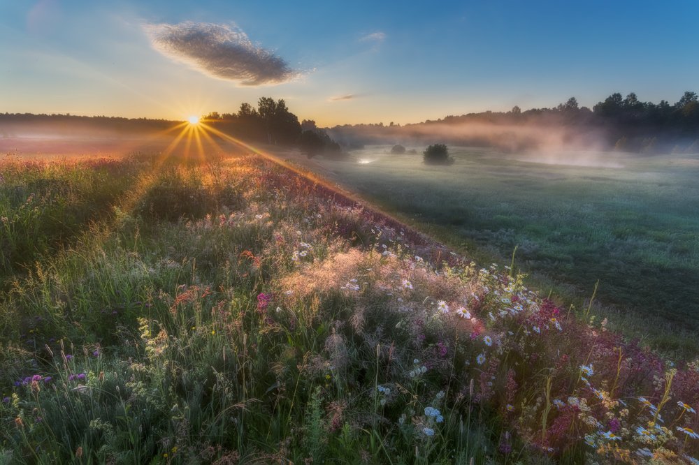 Фотография автора Евгений Ерохин