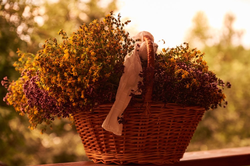 Photograph by Михаил Рогачев