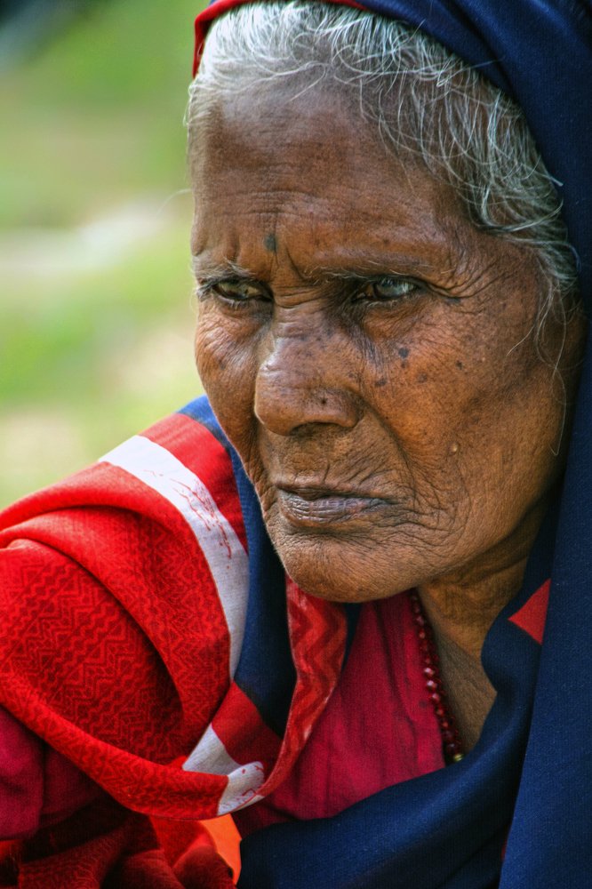 Photograph by NITHIN KUMAR KAVILPUTHANVEETTIL