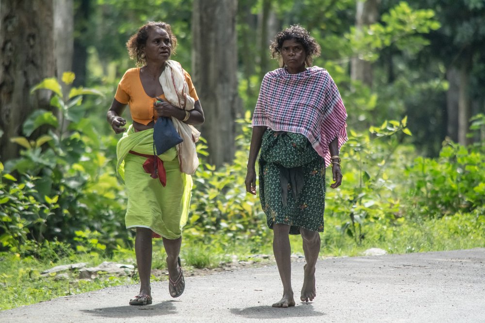 Photograph by NITHIN KUMAR KAVILPUTHANVEETTIL