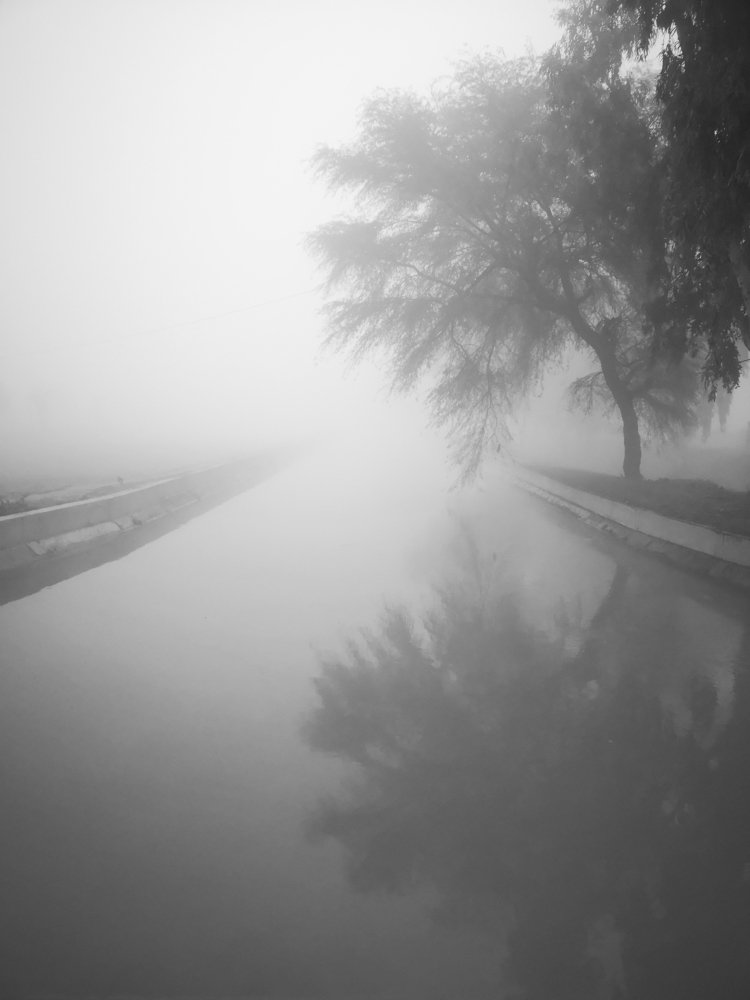 Photograph by maqsood123