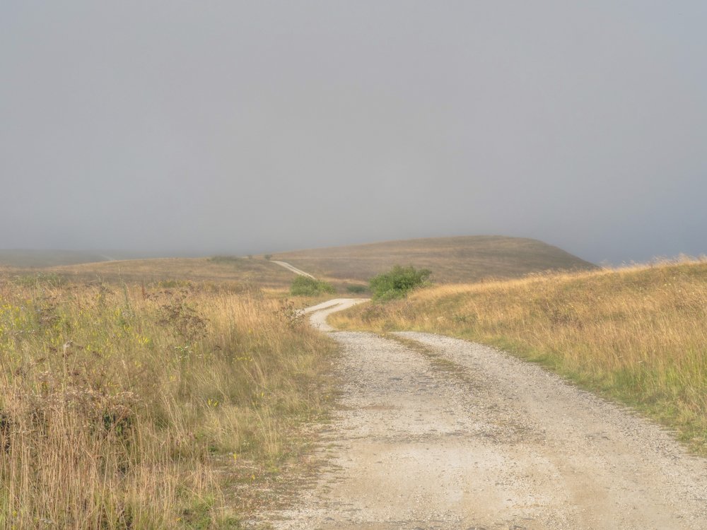 Дорога в никуда