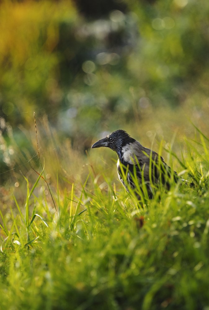 Photograph by Jevgenij Bujanov