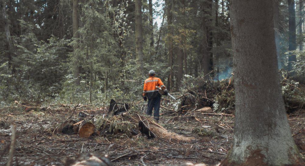 Photograph by Никита Телегин