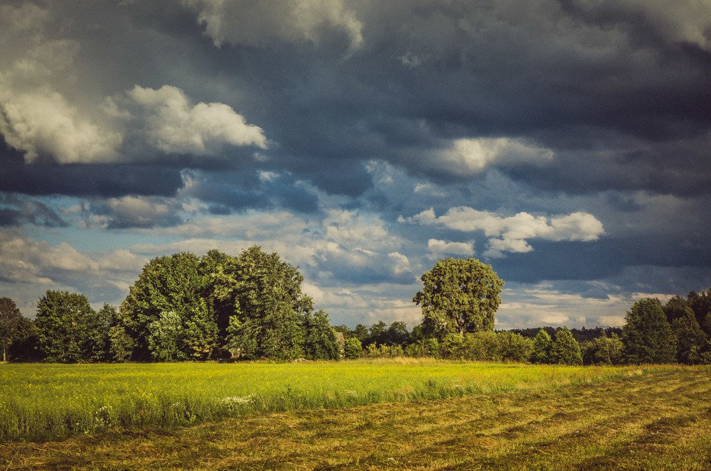 Photograph by Emīls Edgars Lukšo