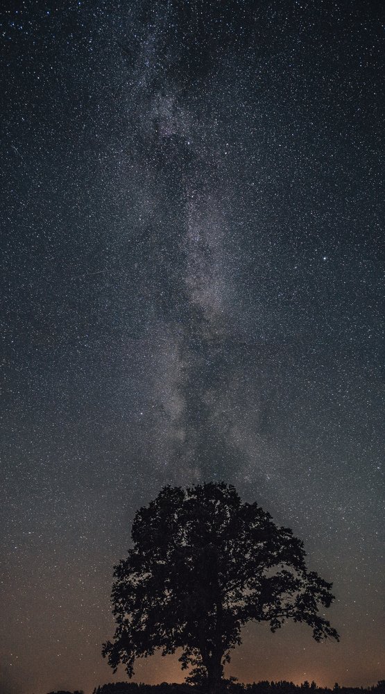 Photograph by Vladimirs Kondratjevs