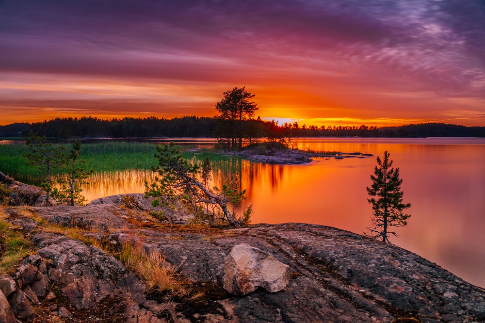 Photograph by Татьяна Сафрошкина