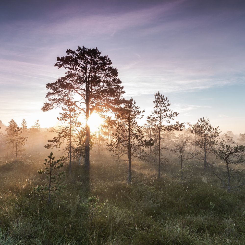 Photograph by Готардо Ронитис
