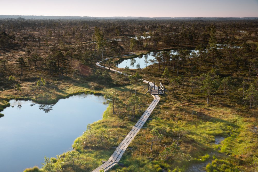 Photograph by Готардо Ронитис