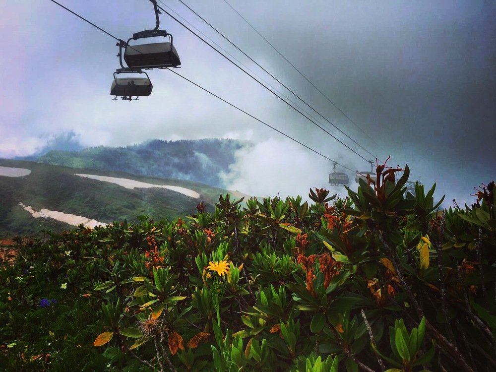 Photograph by Теодора Милекич