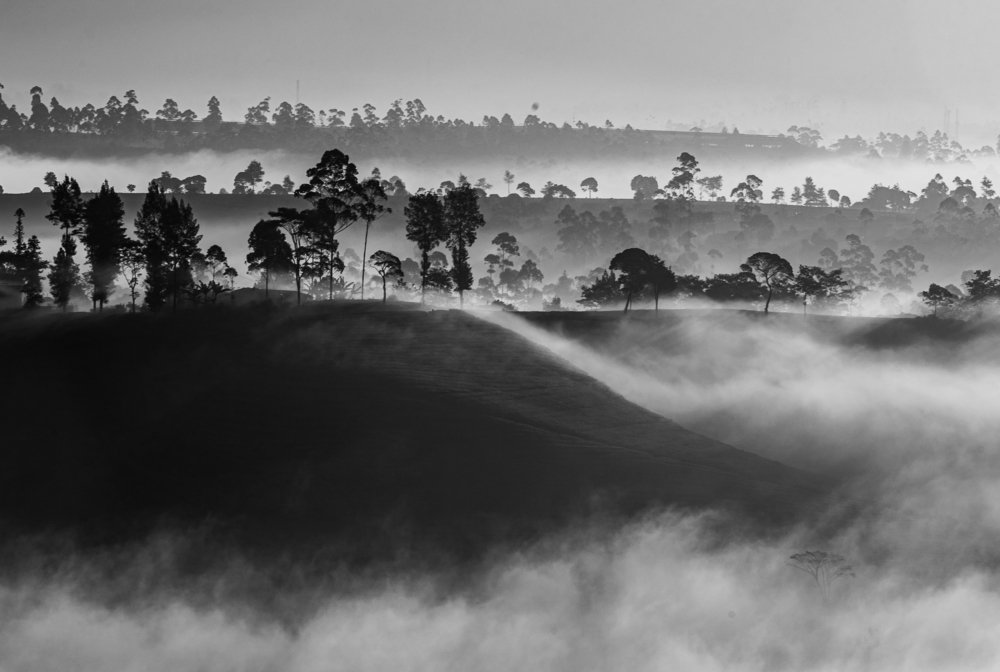 Photograph by Roland Andika Setiawan