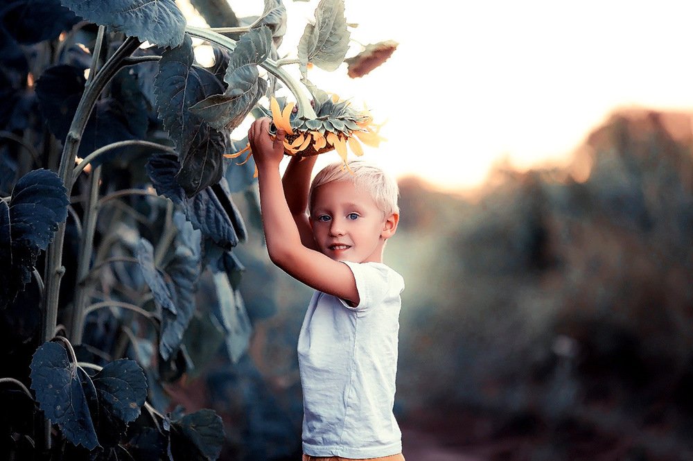 Photograph by Ольга Глущенко