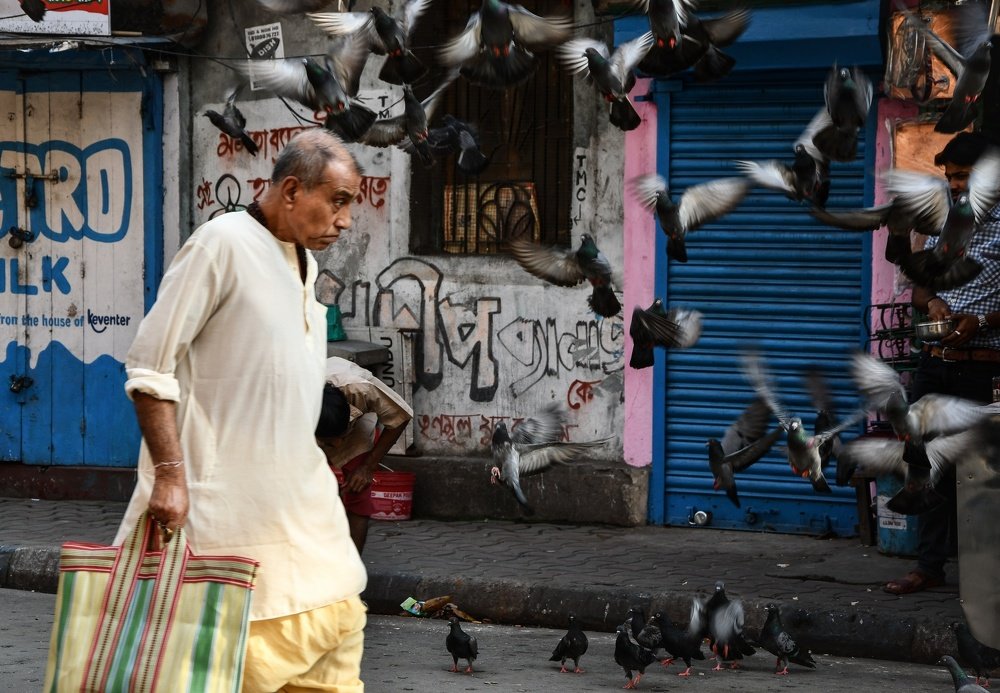 Photograph by Sayani Sil